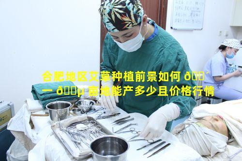 合肥地区艾草种植前景如何 🌴 一 🌵 亩地能产多少且价格行情怎样呢